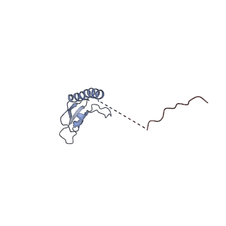 4872_6rfq_k_v1-2
Cryo-EM structure of a respiratory complex I assembly intermediate with NDUFAF2