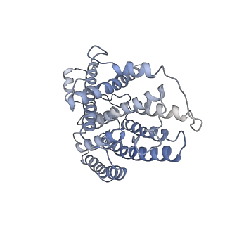 4874_6rfs_1_v1-1
Cryo-EM structure of a respiratory complex I mutant lacking NDUFS4