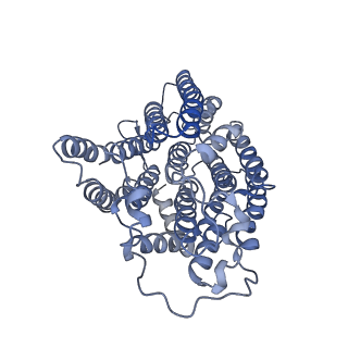 4874_6rfs_2_v1-1
Cryo-EM structure of a respiratory complex I mutant lacking NDUFS4