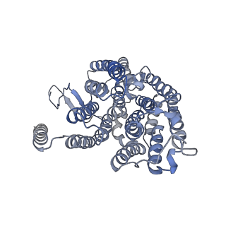 4874_6rfs_4_v1-1
Cryo-EM structure of a respiratory complex I mutant lacking NDUFS4