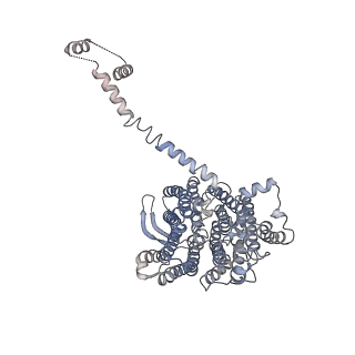 4874_6rfs_5_v1-1
Cryo-EM structure of a respiratory complex I mutant lacking NDUFS4