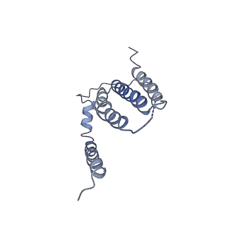 4874_6rfs_6_v1-1
Cryo-EM structure of a respiratory complex I mutant lacking NDUFS4