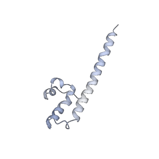 4874_6rfs_8_v1-1
Cryo-EM structure of a respiratory complex I mutant lacking NDUFS4