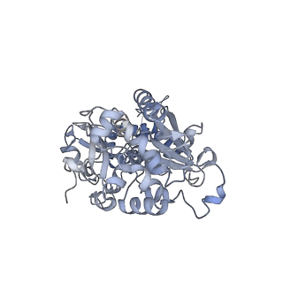 4874_6rfs_B_v1-1
Cryo-EM structure of a respiratory complex I mutant lacking NDUFS4