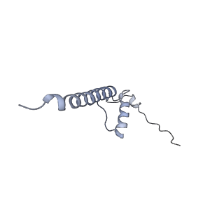 4874_6rfs_D_v1-1
Cryo-EM structure of a respiratory complex I mutant lacking NDUFS4