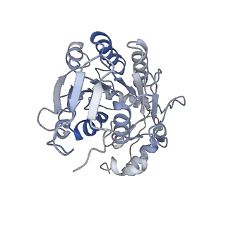 4874_6rfs_E_v1-1
Cryo-EM structure of a respiratory complex I mutant lacking NDUFS4