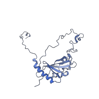 4874_6rfs_G_v1-1
Cryo-EM structure of a respiratory complex I mutant lacking NDUFS4