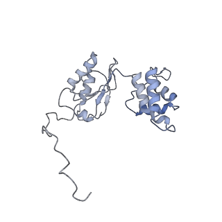 4874_6rfs_H_v1-1
Cryo-EM structure of a respiratory complex I mutant lacking NDUFS4