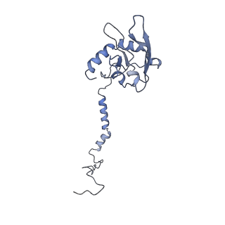 4874_6rfs_I_v1-1
Cryo-EM structure of a respiratory complex I mutant lacking NDUFS4
