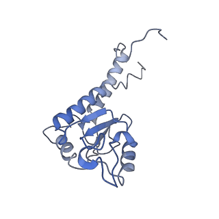4874_6rfs_K_v1-1
Cryo-EM structure of a respiratory complex I mutant lacking NDUFS4