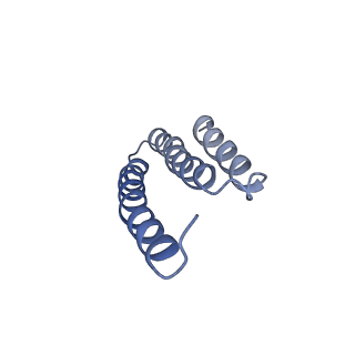 4874_6rfs_L_v1-1
Cryo-EM structure of a respiratory complex I mutant lacking NDUFS4
