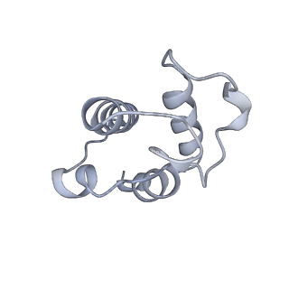 4874_6rfs_O_v1-1
Cryo-EM structure of a respiratory complex I mutant lacking NDUFS4