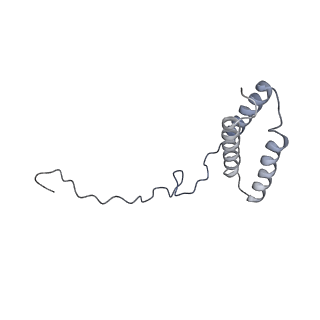 4874_6rfs_R_v1-1
Cryo-EM structure of a respiratory complex I mutant lacking NDUFS4