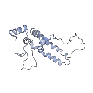 4874_6rfs_U_v1-1
Cryo-EM structure of a respiratory complex I mutant lacking NDUFS4