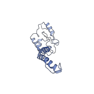 4874_6rfs_X_v1-1
Cryo-EM structure of a respiratory complex I mutant lacking NDUFS4