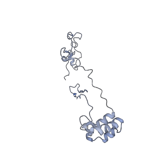 4874_6rfs_Z_v1-1
Cryo-EM structure of a respiratory complex I mutant lacking NDUFS4