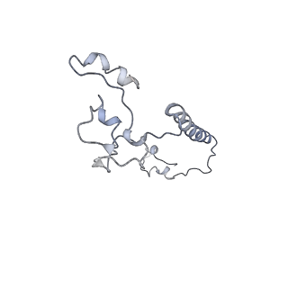 4874_6rfs_a_v1-1
Cryo-EM structure of a respiratory complex I mutant lacking NDUFS4