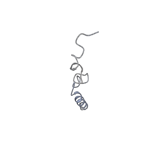 4874_6rfs_c_v1-1
Cryo-EM structure of a respiratory complex I mutant lacking NDUFS4