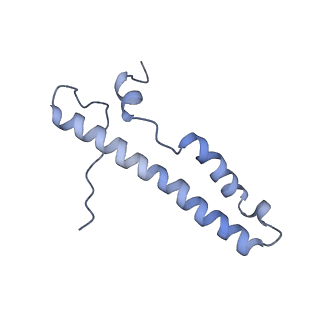 4874_6rfs_d_v1-1
Cryo-EM structure of a respiratory complex I mutant lacking NDUFS4