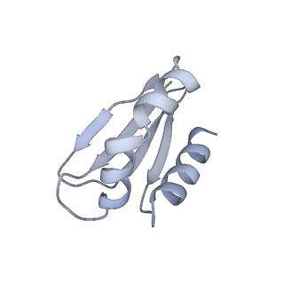 4874_6rfs_f_v1-1
Cryo-EM structure of a respiratory complex I mutant lacking NDUFS4