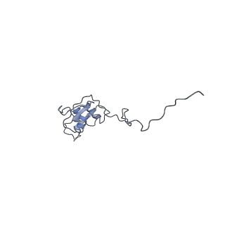 4874_6rfs_h_v1-1
Cryo-EM structure of a respiratory complex I mutant lacking NDUFS4