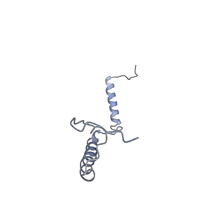 4874_6rfs_i_v1-1
Cryo-EM structure of a respiratory complex I mutant lacking NDUFS4