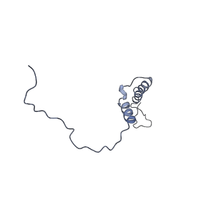 4874_6rfs_j_v1-1
Cryo-EM structure of a respiratory complex I mutant lacking NDUFS4
