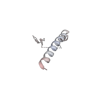 19132_8rgg_C_v1-0
Structure of dynein-2 intermediate chain DYNC2I2 (WDR34) in complex with dynein-2 heavy chain DYNC2H1.