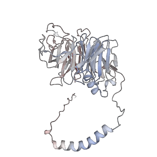 19132_8rgg_D_v1-0
Structure of dynein-2 intermediate chain DYNC2I2 (WDR34) in complex with dynein-2 heavy chain DYNC2H1.