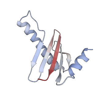 19132_8rgg_G_v1-0
Structure of dynein-2 intermediate chain DYNC2I2 (WDR34) in complex with dynein-2 heavy chain DYNC2H1.