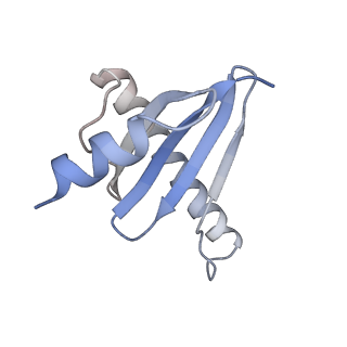 19132_8rgg_H_v1-0
Structure of dynein-2 intermediate chain DYNC2I2 (WDR34) in complex with dynein-2 heavy chain DYNC2H1.