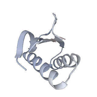 19132_8rgg_I_v1-0
Structure of dynein-2 intermediate chain DYNC2I2 (WDR34) in complex with dynein-2 heavy chain DYNC2H1.