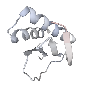 19132_8rgg_J_v1-0
Structure of dynein-2 intermediate chain DYNC2I2 (WDR34) in complex with dynein-2 heavy chain DYNC2H1.
