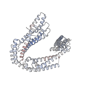 19133_8rgh_A_v1-0
Structure of dynein-2 intermediate chain DYNC2I1 (WDR60) in complex with the dynein-2 heavy chain DYNC2H1.