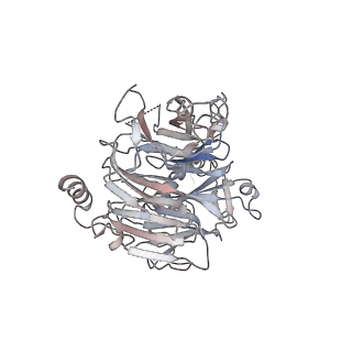 19133_8rgh_C_v1-0
Structure of dynein-2 intermediate chain DYNC2I1 (WDR60) in complex with the dynein-2 heavy chain DYNC2H1.