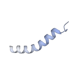 19133_8rgh_D_v1-0
Structure of dynein-2 intermediate chain DYNC2I1 (WDR60) in complex with the dynein-2 heavy chain DYNC2H1.