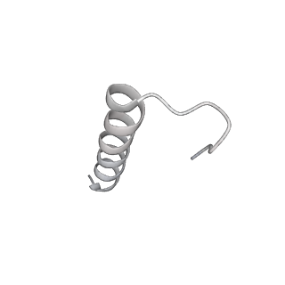 19133_8rgh_E_v1-0
Structure of dynein-2 intermediate chain DYNC2I1 (WDR60) in complex with the dynein-2 heavy chain DYNC2H1.