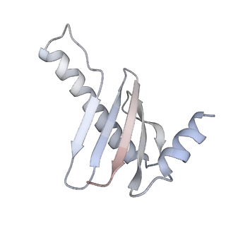 19133_8rgh_G_v1-0
Structure of dynein-2 intermediate chain DYNC2I1 (WDR60) in complex with the dynein-2 heavy chain DYNC2H1.