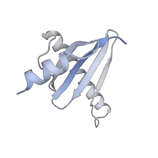 19133_8rgh_H_v1-0
Structure of dynein-2 intermediate chain DYNC2I1 (WDR60) in complex with the dynein-2 heavy chain DYNC2H1.