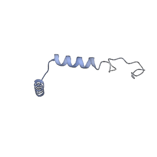 24445_7rg9_G_v1-0
cryo-EM of human Glucagon-like peptide 1 receptor GLP-1R in apo form