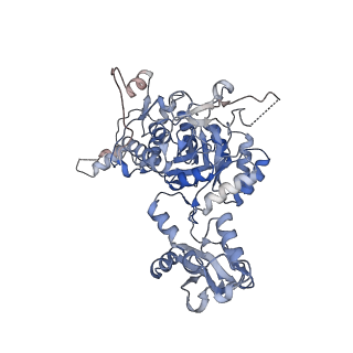 24448_7rgd_B_v1-2
HUMAN RETINAL VARIANT IMPDH1(595) TREATED WITH GTP, ATP, IMP, NAD+, OCTAMER-CENTERED