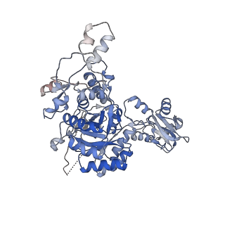 24448_7rgd_G_v1-2
HUMAN RETINAL VARIANT IMPDH1(595) TREATED WITH GTP, ATP, IMP, NAD+, OCTAMER-CENTERED