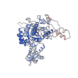 24448_7rgd_H_v1-2
HUMAN RETINAL VARIANT IMPDH1(595) TREATED WITH GTP, ATP, IMP, NAD+, OCTAMER-CENTERED