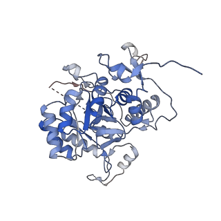 24450_7rgi_B_v1-2
HUMAN RETINAL VARIANT IMPDH1(546) TREATED WITH GTP, ATP, IMP, NAD+; INTERFACE-CENTERED