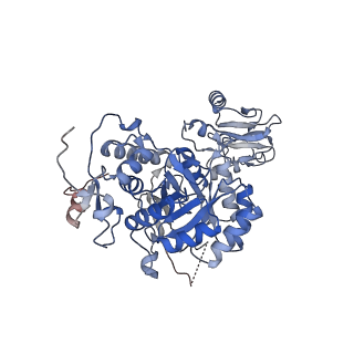 24452_7rgm_A_v1-2
HUMAN RETINAL VARIANT IMPDH1(546) TREATED WITH ATP, IMP, NAD+, OCTAMER-CENTERED