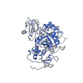 24452_7rgm_B_v1-2
HUMAN RETINAL VARIANT IMPDH1(546) TREATED WITH ATP, IMP, NAD+, OCTAMER-CENTERED
