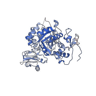 24452_7rgm_C_v1-2
HUMAN RETINAL VARIANT IMPDH1(546) TREATED WITH ATP, IMP, NAD+, OCTAMER-CENTERED