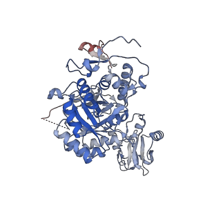 24452_7rgm_D_v1-2
HUMAN RETINAL VARIANT IMPDH1(546) TREATED WITH ATP, IMP, NAD+, OCTAMER-CENTERED