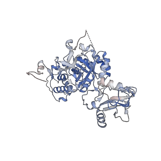 24452_7rgm_E_v1-2
HUMAN RETINAL VARIANT IMPDH1(546) TREATED WITH ATP, IMP, NAD+, OCTAMER-CENTERED