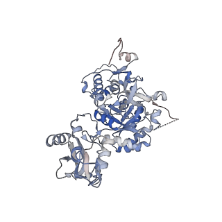 24452_7rgm_F_v1-2
HUMAN RETINAL VARIANT IMPDH1(546) TREATED WITH ATP, IMP, NAD+, OCTAMER-CENTERED